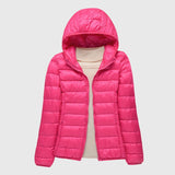 Roze met capuchon